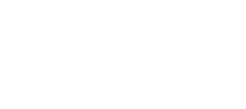 Aliyah Youth Academy